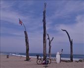 by vickey84, Views[247]