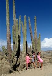 by vickey84, Views[222]