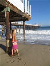 by vickey84, Views[142]