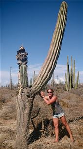 by vickey84, Views[345]