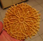 by victoriaann, Views[256]