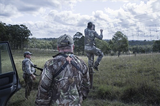 Animals are kept in enclosures until they reach 'trophy' proportions.