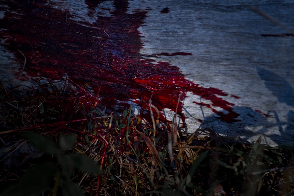 The first bullet does not meet the intended entry point.