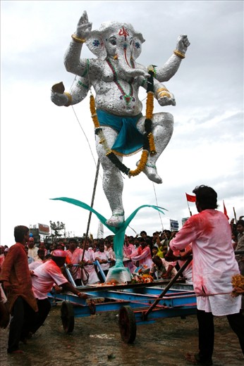 It takes many men to bring this large statue of Lord Ganesh to the ocean at Chowpatty Beach, Mumbai. This larger statue need more assistance than smaller counterparts.  