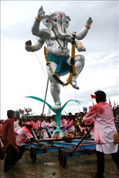 It takes many men to bring this large statue of Lord Ganesh to the ocean at Chowpatty Beach, Mumbai. This larger statue need more assistance than smaller counterparts.  : by victoriaphoto, Views[2285]