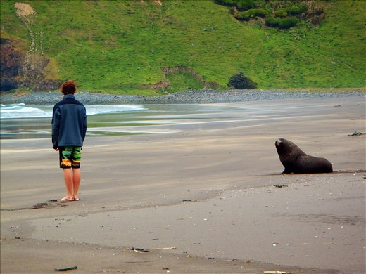 Francis making a strong connection with his mate and enemy !