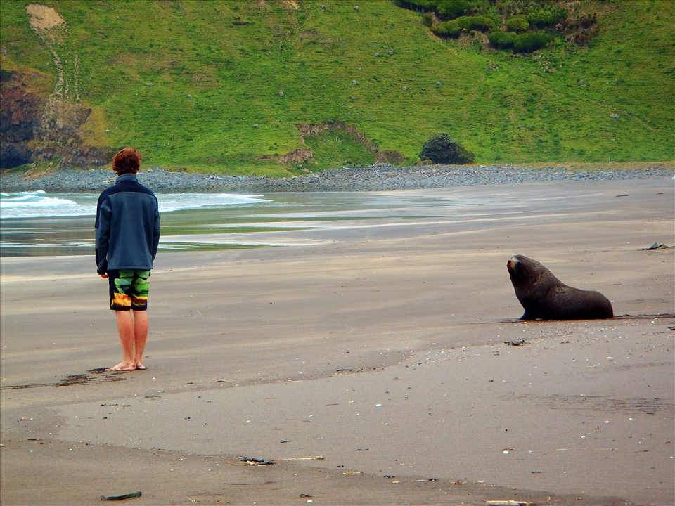 Francis making a strong connection with his mate and enemy !