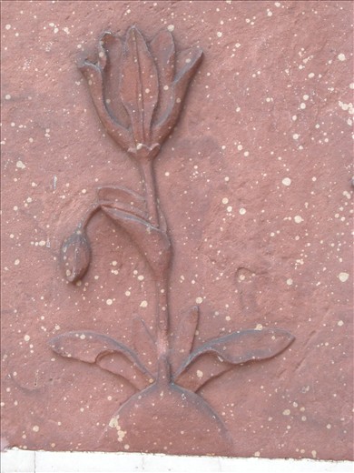 red stone rose, created by mughals to show the love and ethenic whispers.