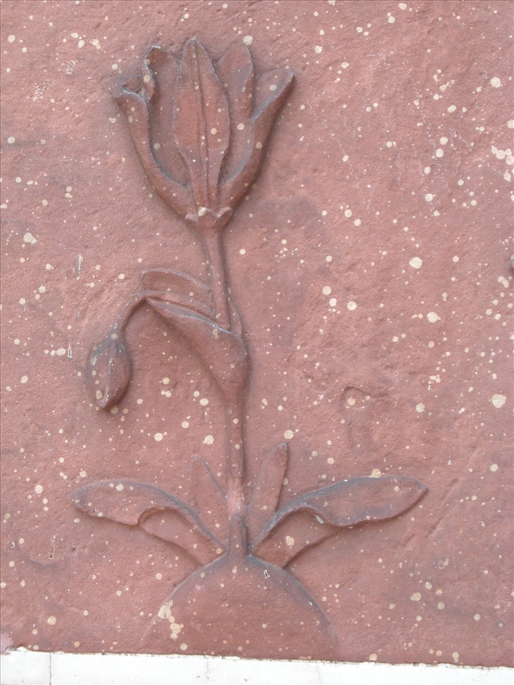 red stone rose, created by mughals to show the love and ethenic whispers.