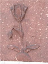 red stone rose, created by mughals to show the love and ethenic whispers.: by vids, Views[453]