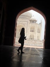 beauty with beauty with a slightly shaded touch: by vids, Views[343]