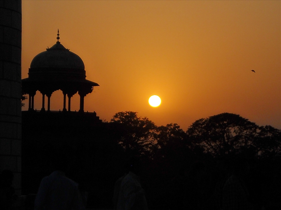beautiful sunset in west corner with moving charping birds.