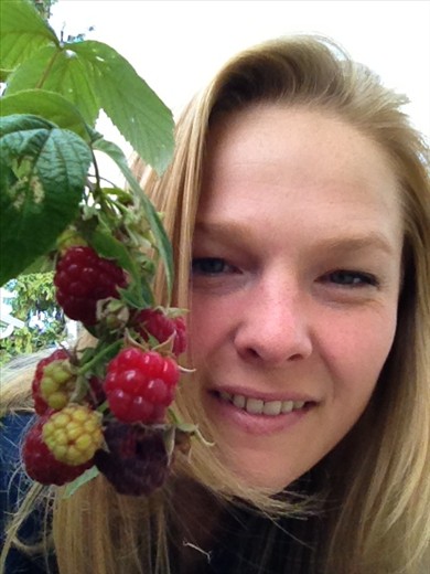 Finding fresh berries to cook with