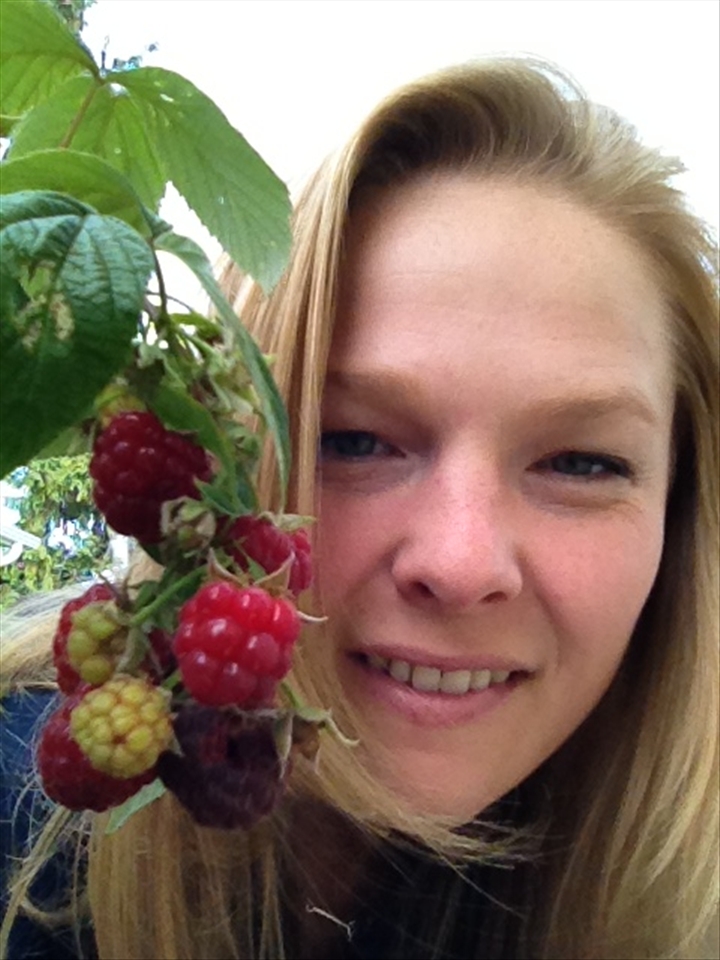 Finding fresh berries to cook with