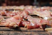 It is a hard life. Some people sell meat some fish to survive and struggle each day to sell their product. Until somebody buys the fish the raw meat is nothing more but a feast for flies. : by view, Views[822]