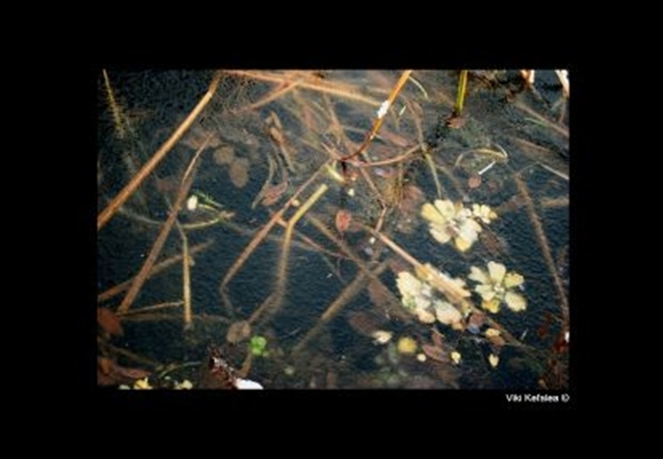 Tours - Under the ice, may this beauty stay alive