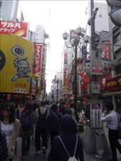 by vincci-lwc, Views[152]