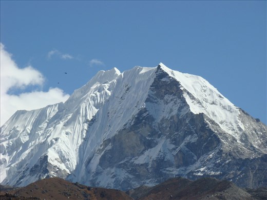 The Reason for it all,Destination X