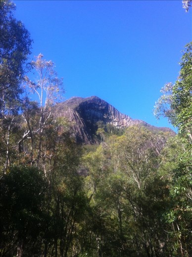 Mt Beerwah from the base,Not a huge Elevation but quite a difficult climb.