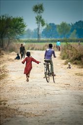 by vincent, Views[269]