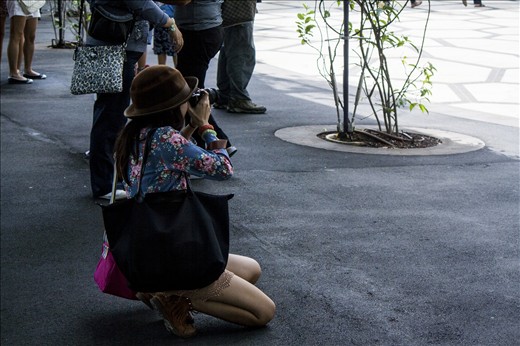 Chanced upon what i call a Fashionista Street Photographer