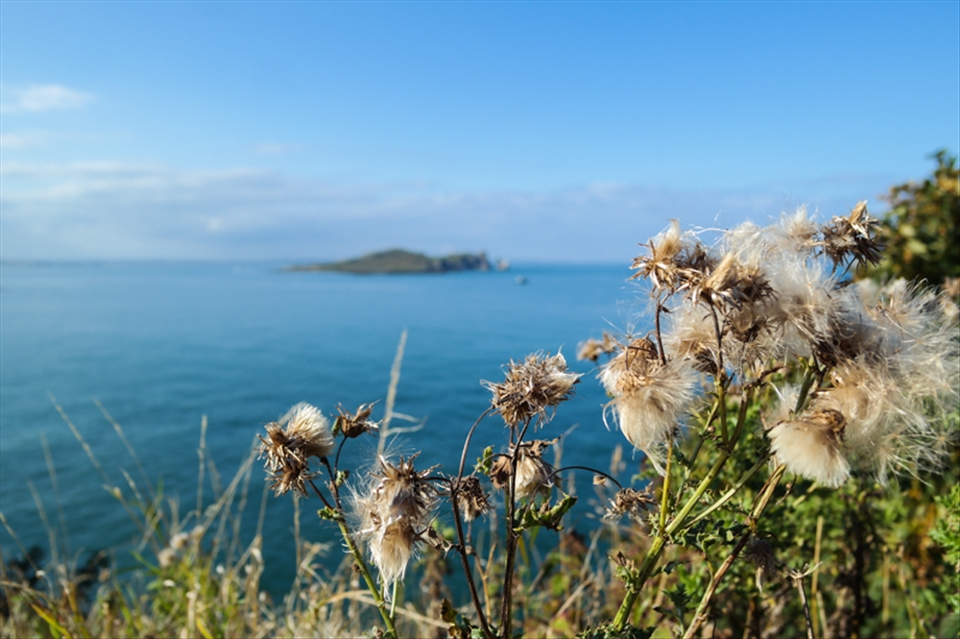 View from Howth, Ireland
