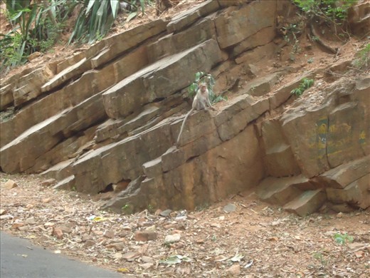 see how the rocks build by the nature
