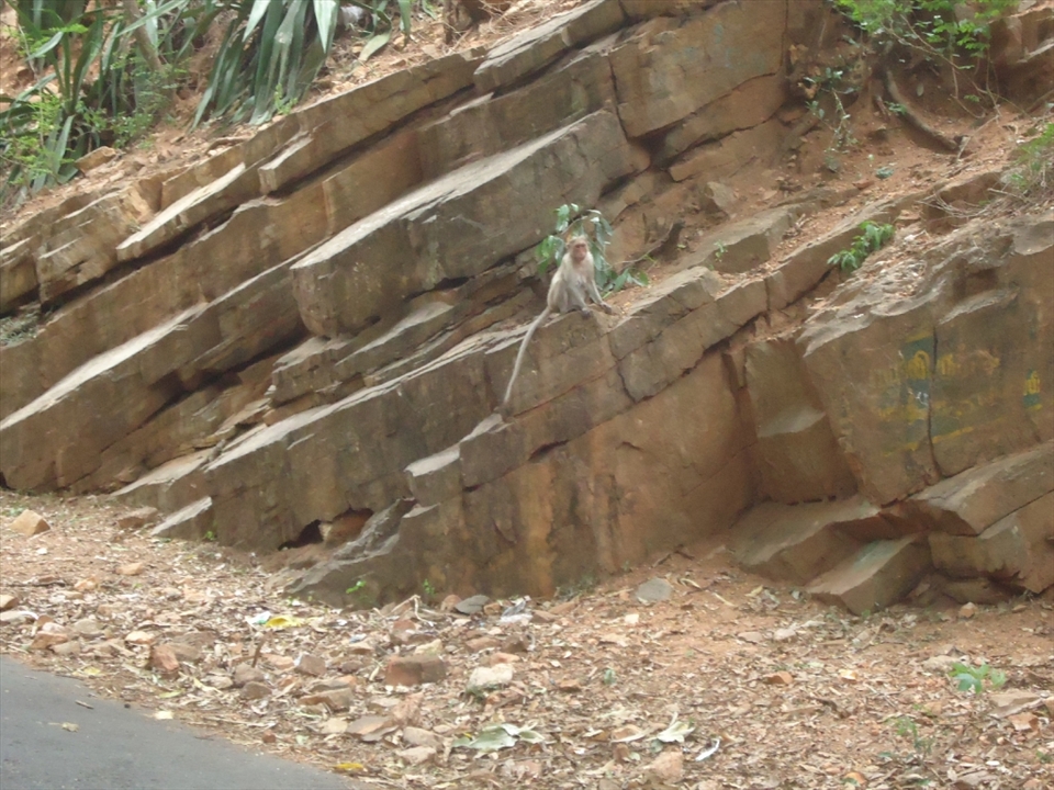 see how the rocks build by the nature