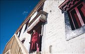 The morning sun is harsh. Nothing stops a monk from his contemplation of god.: by vissa, Views[315]