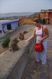 by voyage_voyage, Views[113]