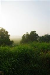 by voyage_voyage, Views[127]