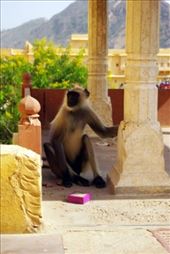 by voyage_voyage, Views[111]