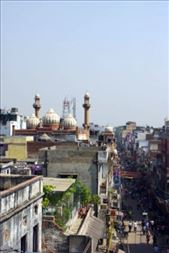 by voyage_voyage, Views[141]