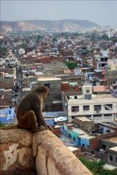 by voyage_voyage, Views[159]