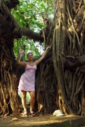 by voyage_voyage, Views[113]