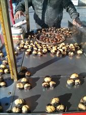 by voyage_voyage, Views[127]