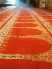 by voyage_voyage, Views[449]