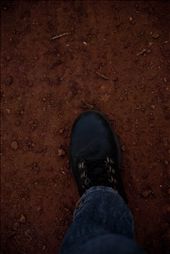 First steps in African red soil, just remind me of the reddish soil of Misiones, Argentina.

For first time in 25 years I had the opportunity to fly away from home, and heading to an amazing destiny such as Southafrica. Also, I got the chance to meet long distance relatives and feel the vibe of this incredible continent living for ten days in their farm near Piet Retief, Mpumalanga.: by vvone, Views[1061]