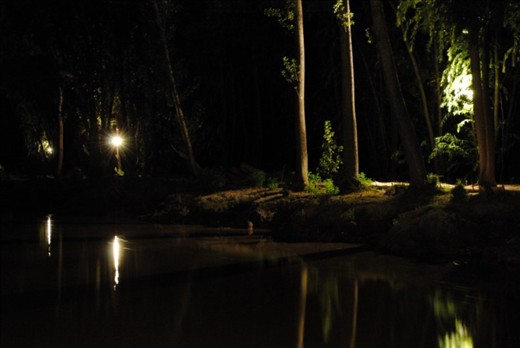 Calmness of the night.