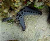 by wabi-sabi, Views[152]