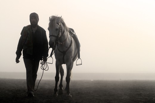 make a living by renting out horses. 