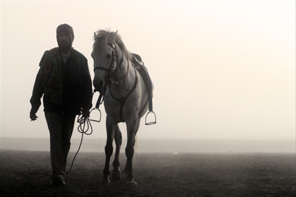 make a living by renting out horses. 