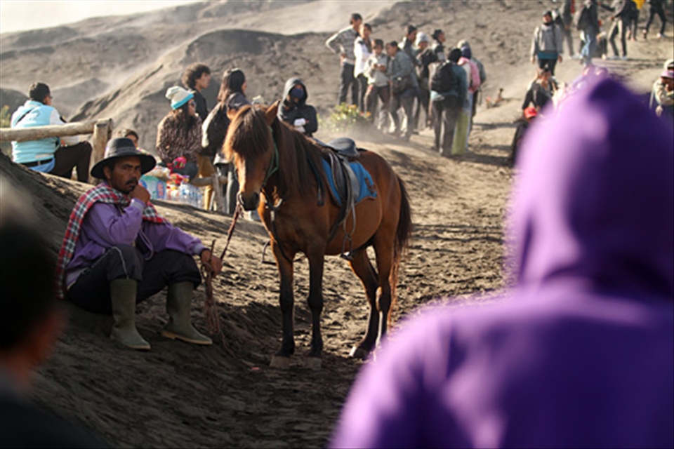 break after delivering its passengers to bromo crater.