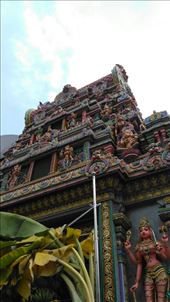 by walkersgowandering, Views[192]