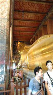 by walkersgowandering, Views[247]