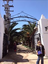 by wallaki, Views[127]