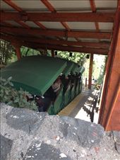 by wallaki, Views[192]