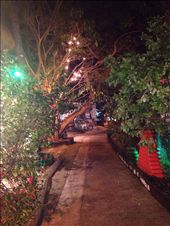 by wallaki, Views[183]