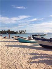 by wallaki, Views[133]