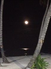 by wallaki, Views[143]